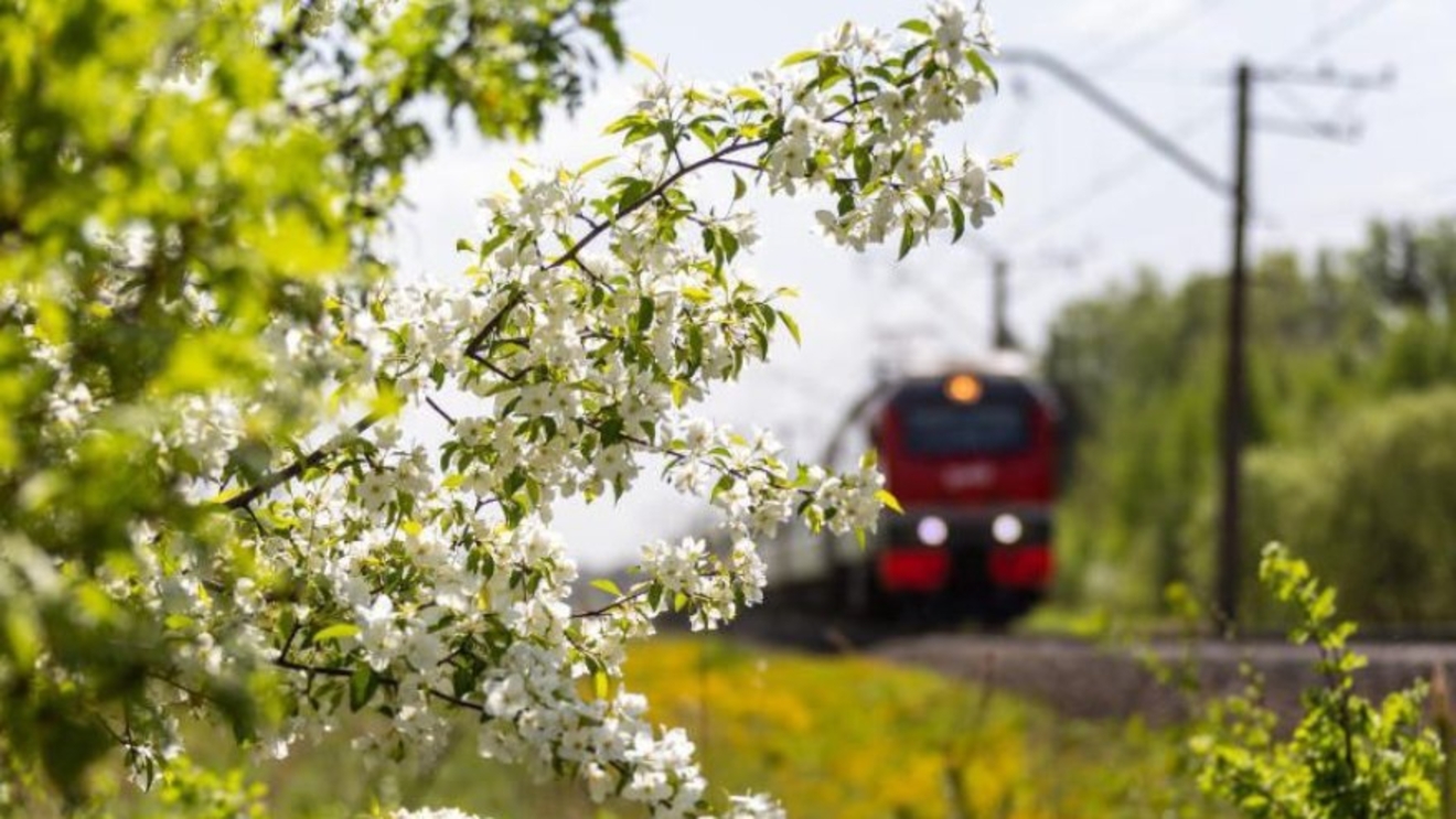 Дополнительные поезда из Екатеринбурга, Тюмени и Перми назначены на майские  праздники на СвЖД | Союз-ТВ