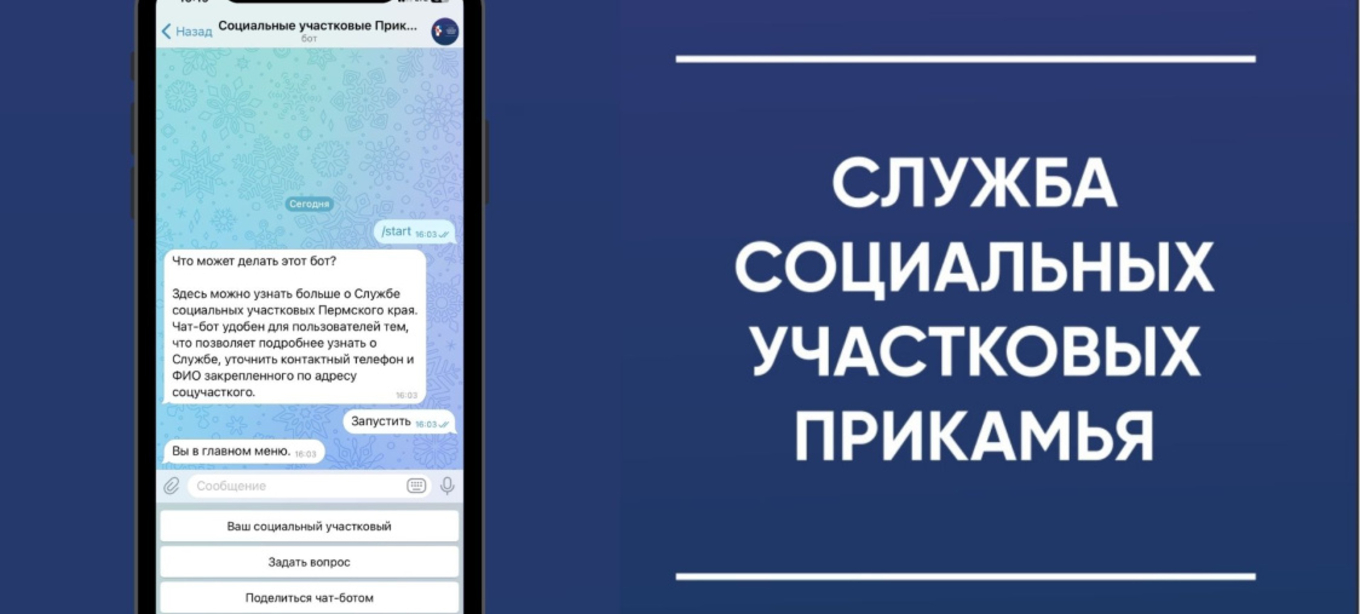 В Прикамье заработал чат-бот Службы социальных участковых